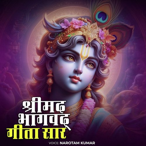 Shreemad Bhagvad Geeta Sar