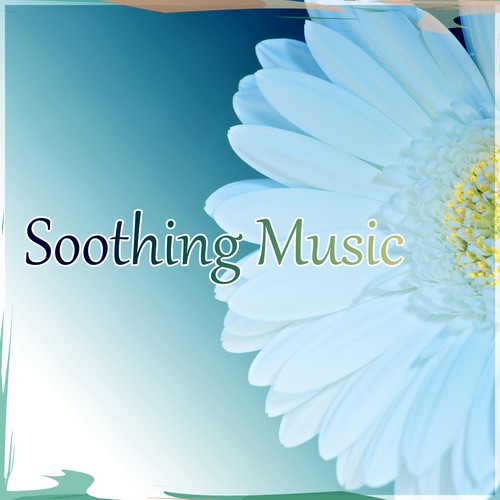 Nature Soundscapes cover art
