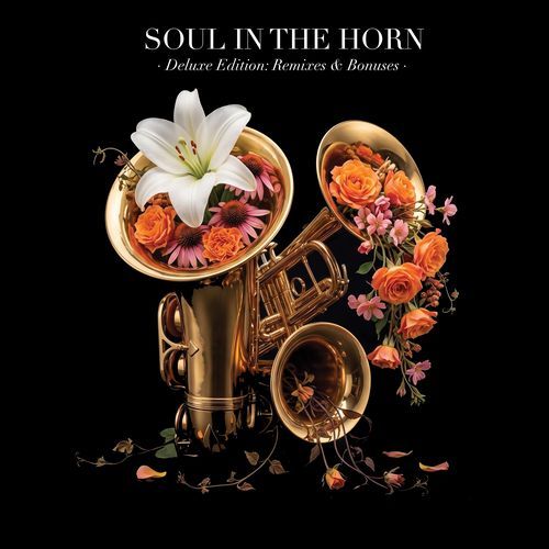 Ain't It Nice (Merlin Bobb & Masaki Morii Dub Remix)