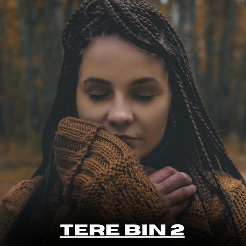 Tere Bin 2