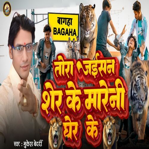 Tora Jaisan Sher Ke Mareni Gher Ke