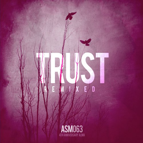 Trust (Animal Picnic Remix) cover art