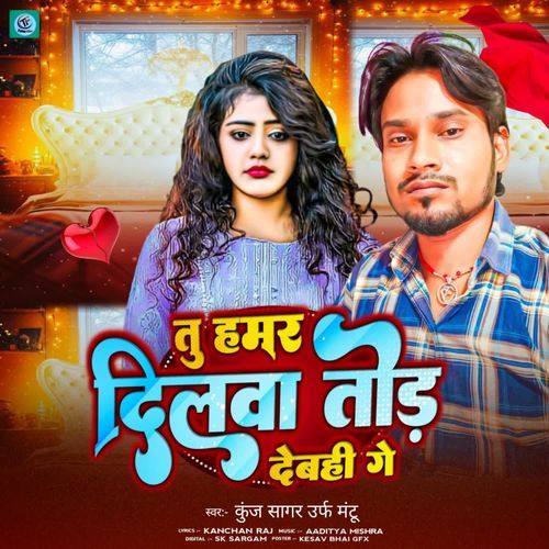 Tu hamr dilwa tod debhi ge cover art