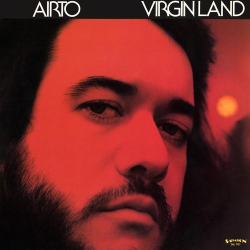 Virgin Land_poster_image