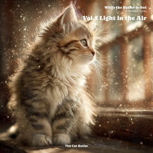 가볍지도 무겁지도 않은 공기(Air, Neither Light Nor Heavy)