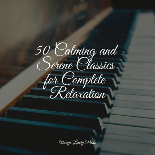 50 Calming Songs