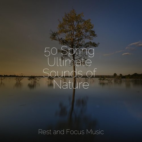 Om cover art