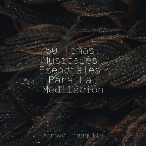 50 Temas Musicales Esenciales Para La Meditación_poster_image