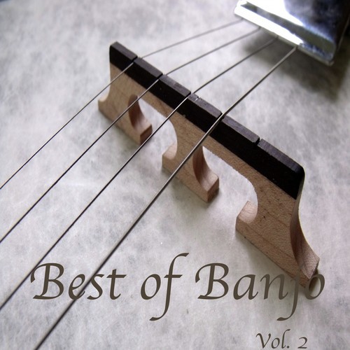 Best of Banjo, Vol. 2