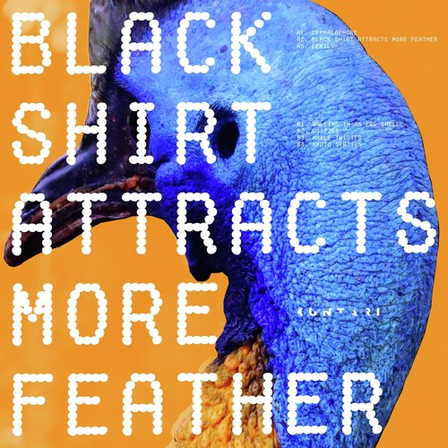 Black Shirt Attracts More Feather cover art