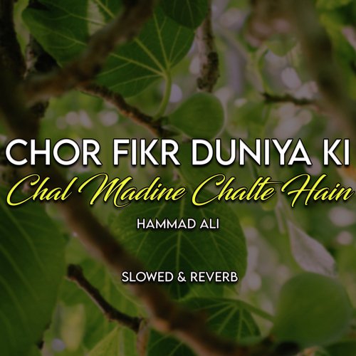 Chor Fikr duniya Ki Chal Madine Chalte Hain Lofi