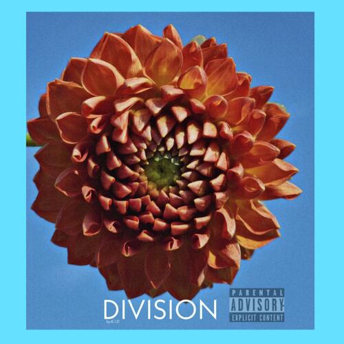 DIVISION