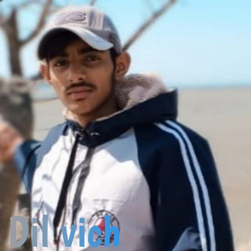 Dil vich