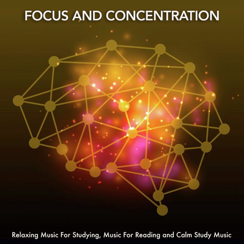 Focus and Concentration: Relaxing Music For Studying, Music For Reading and Calm Study Music_poster_image