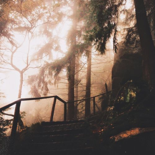 I Don't Want to Forget