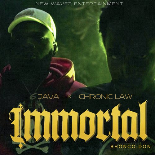 Immortal_poster_image