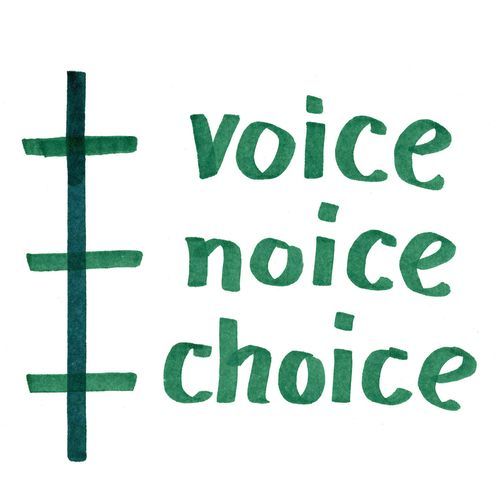 Op.206 I went to my VOICE NOICE CHOICE cover art