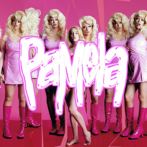 PAMELA
