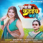 Papaji Kahaiba Kaisa