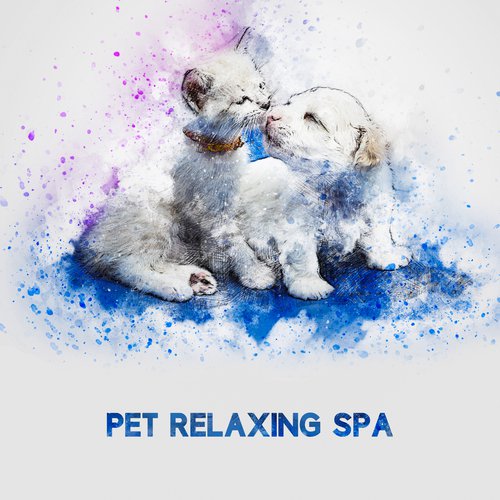 Kittens Calming Rhythms cover art