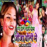 Rang Dale Nahi Dehab Jija Choli Me