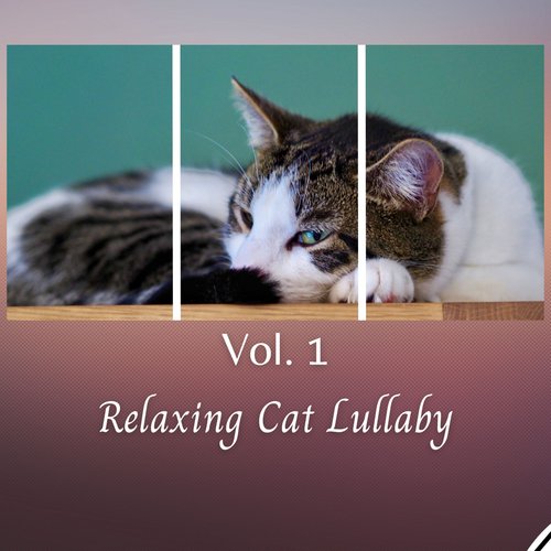 Bowls Therapy for Cats cover art