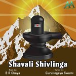 Shavali Shivlinga Suprabhatha