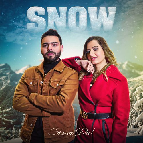 Snow cover art