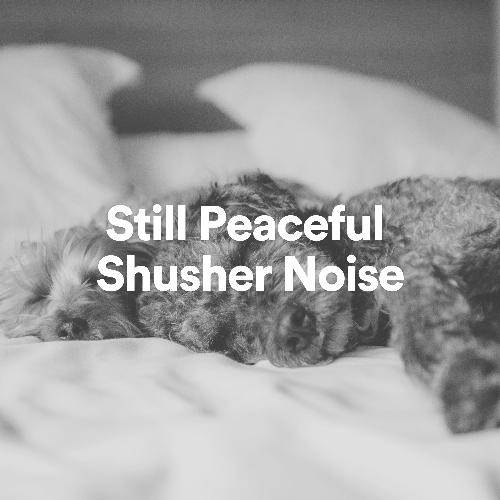 Still Peaceful Shusher Noise_poster_image