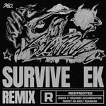 Survive (feat. B-Free) [Carrott Remix] (Carrott Remix)