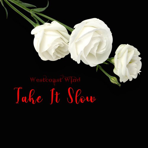 Take It Slow_poster_image