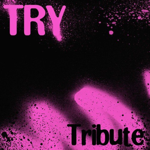 Try (Pink Tribute)