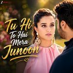 Tu Hi To Hai Mera Junoon