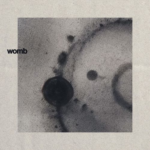 Womb