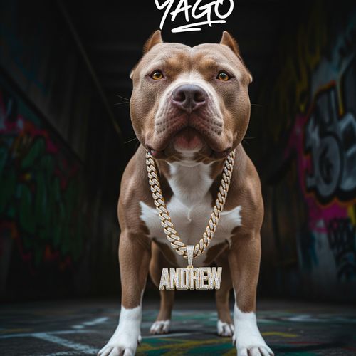 YAGO cover art