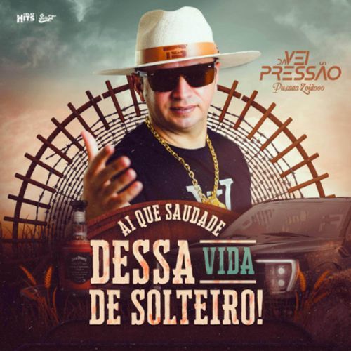 Ai Que Saudade Dessa Vida de Solteiro_poster_image