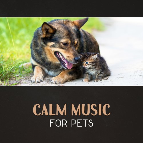 Calm Music for Pets – Relax Therapy, Canine Relaxation, Gentle Sounds for Animals, Ambient Sounds, Calm Cat, Pet Anxiety Help