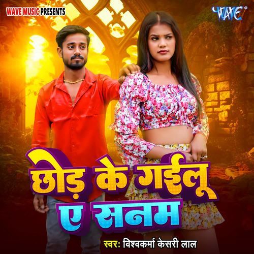 Chhod Ke Gailu Ae Sanam