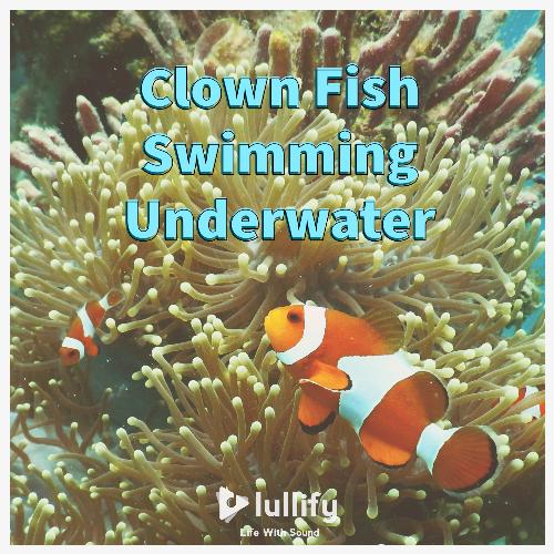 Clownfish cover art
