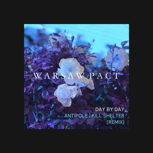 Day by Day (Remix) [feat. Antipole & Kill Shelter] cover art