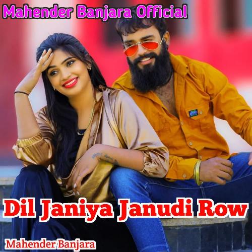 Dil Janiya Janudi Row