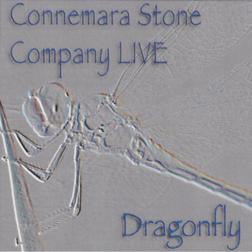Dragonfly - Live at Folk im Schlosshof (Live)