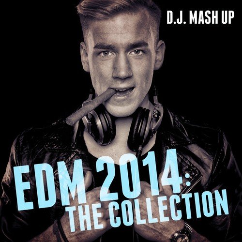 EDM 2014: The Collection_poster_image