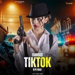 Famous Tiktok N Pe Hogi