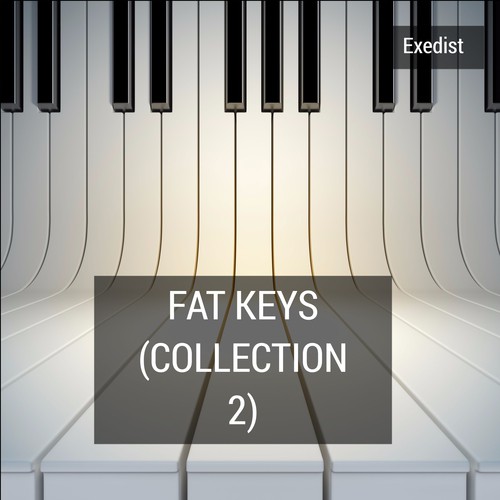 Fat Keys (Collection 2)