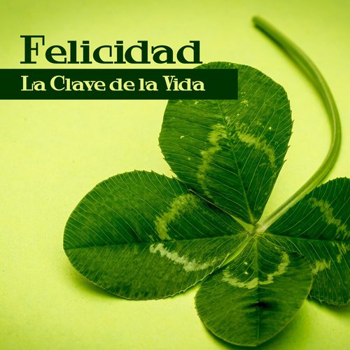 Meditación Guiada cover art