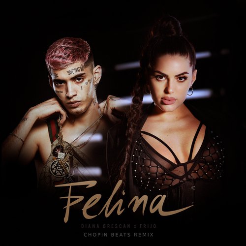 Felina (Chopin Beats Remix)