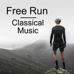 Egmont, Op. 84: Ouverture. Sostenuto, ma non troppo - Allegro - Allegro con brio