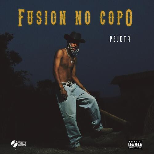 Fusion no Copo_poster_image