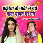 Ghanturiya To Nati Le Gaye Chutkala (Hindi)